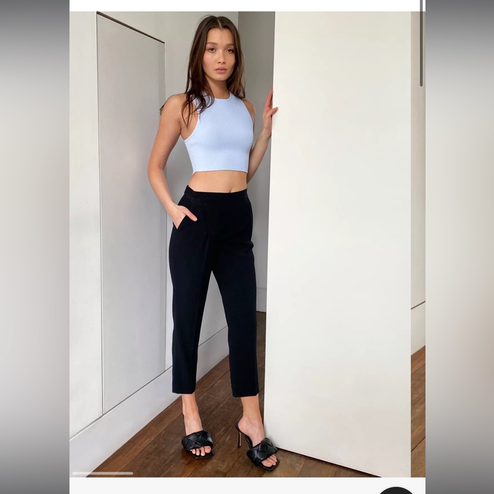 Aritzia Babaton Cohen Pant
